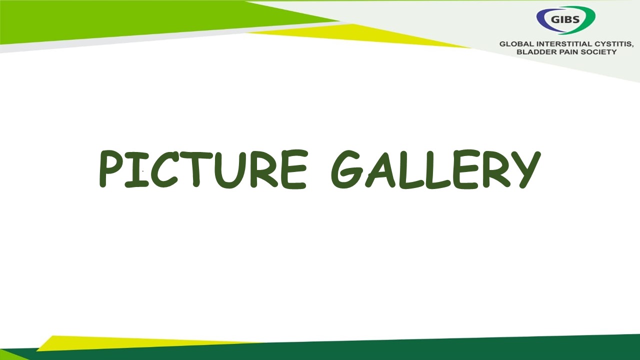 PICTURE GALLERY inage